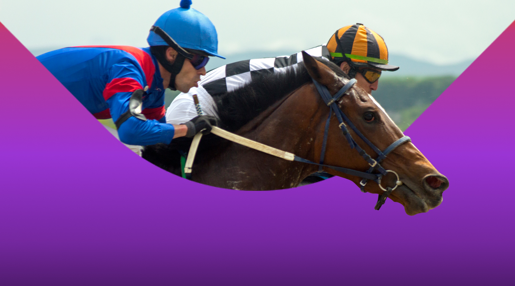 Down Royal Summer Festival – Northern Ireland horse racing Down Royal Summer Festival – Northern Ireland horse racing