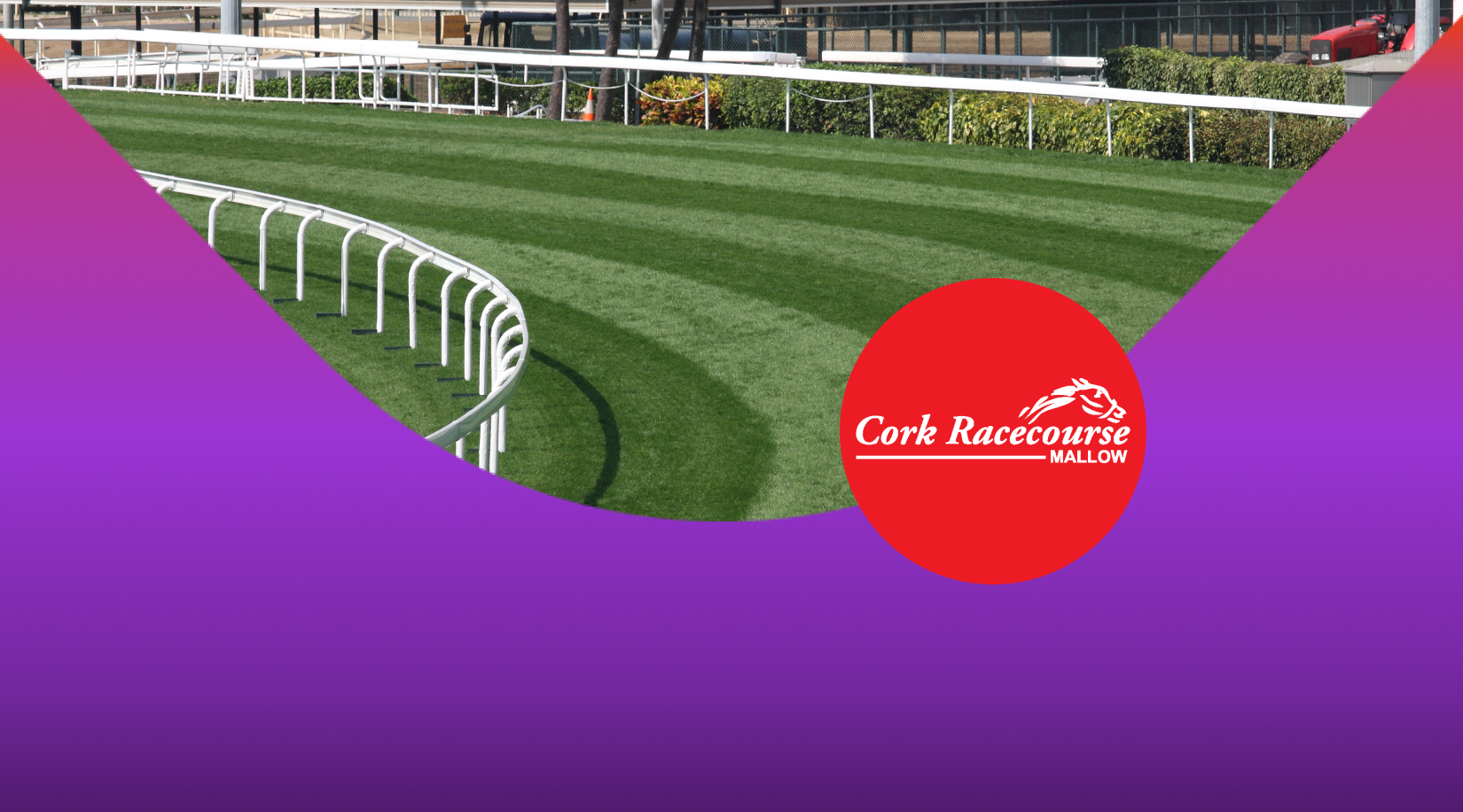 Cork races preview