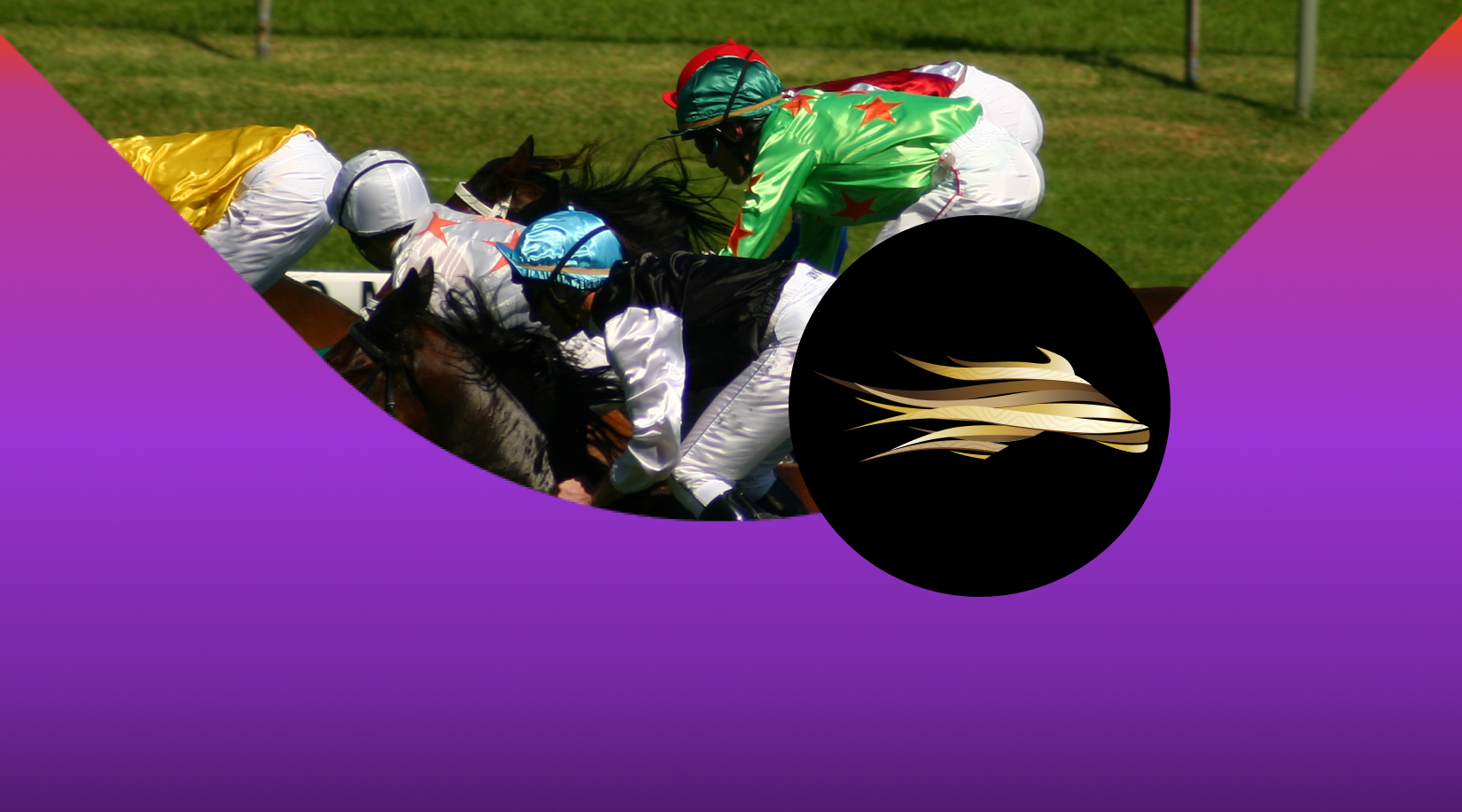 Down Royal Boxing Day Races