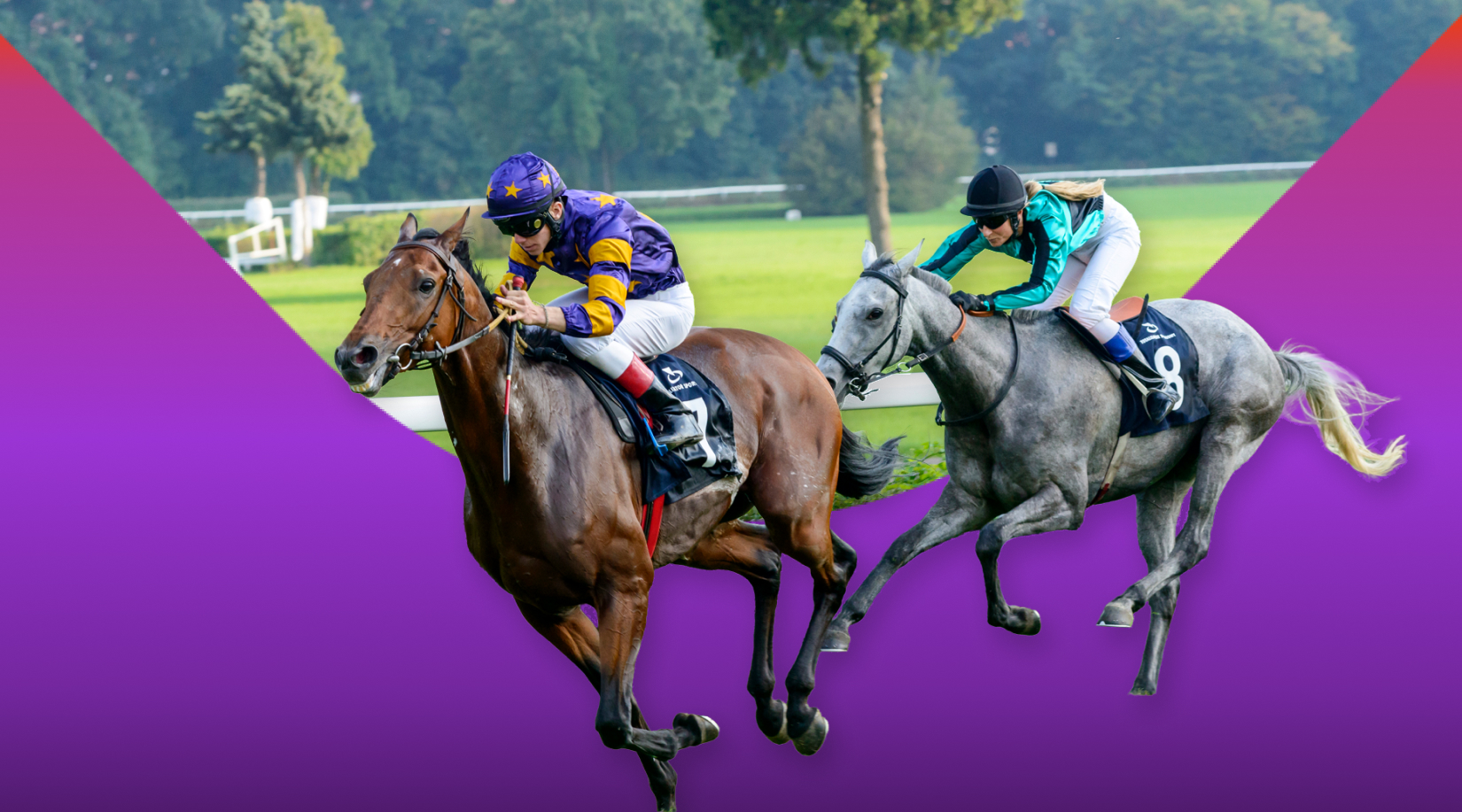 Cheltenham Festival countdown