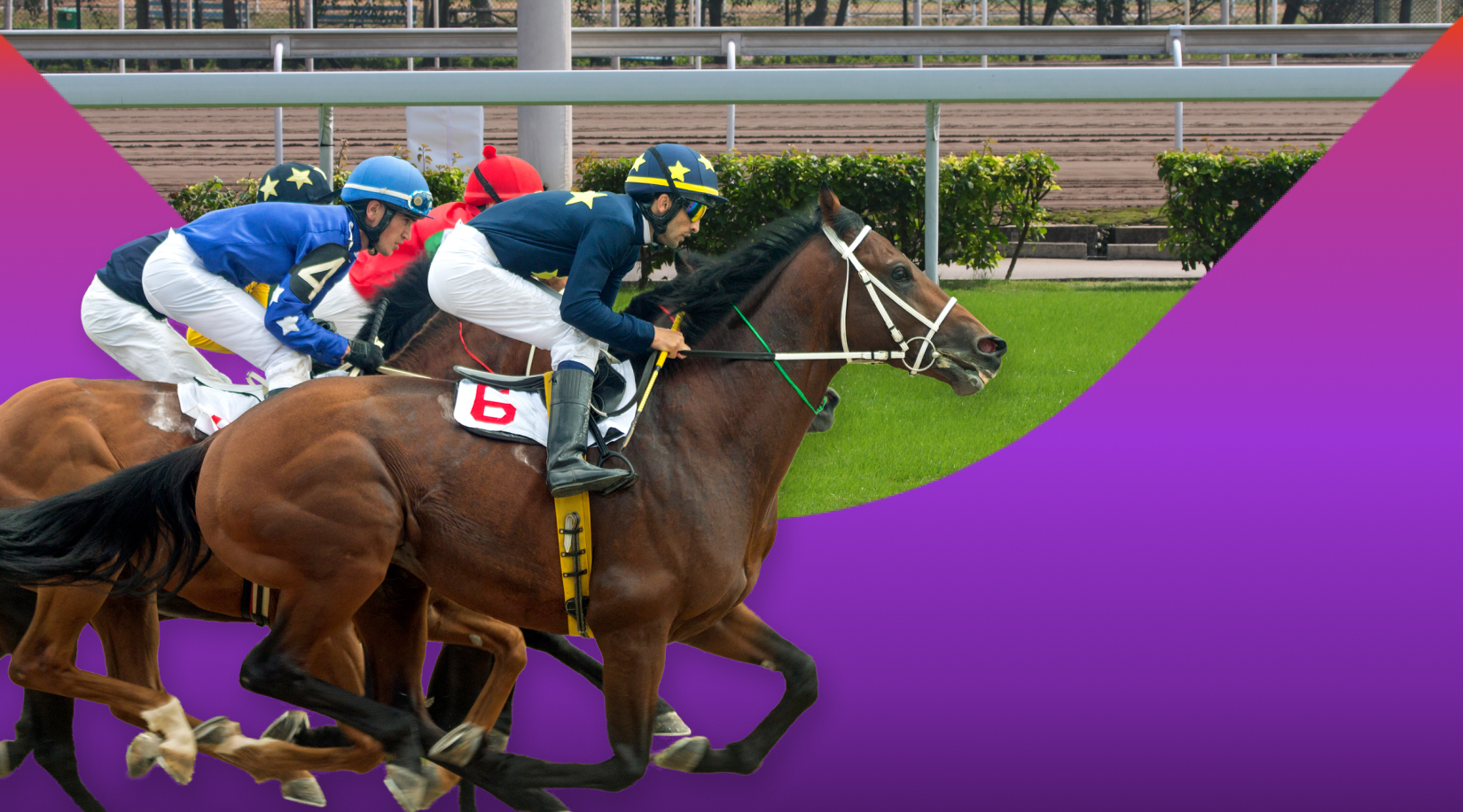 Ulster National Raceday look ahead